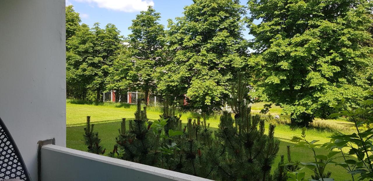 Grossdorf Ferienwohnung Waldsuite Im Harz Goslar Eksteriør bilde