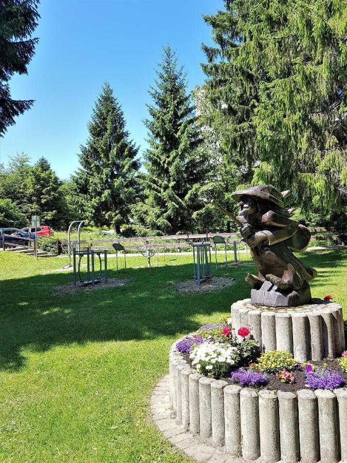 Grossdorf Ferienwohnung Waldsuite Im Harz Goslar Eksteriør bilde