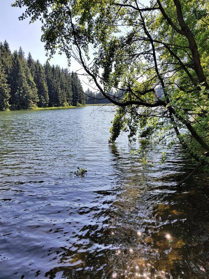 Grossdorf Ferienwohnung Waldsuite Im Harz Goslar Eksteriør bilde