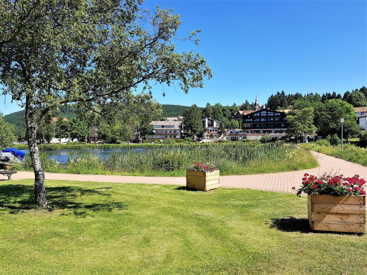 Grossdorf Ferienwohnung Waldsuite Im Harz Goslar Eksteriør bilde