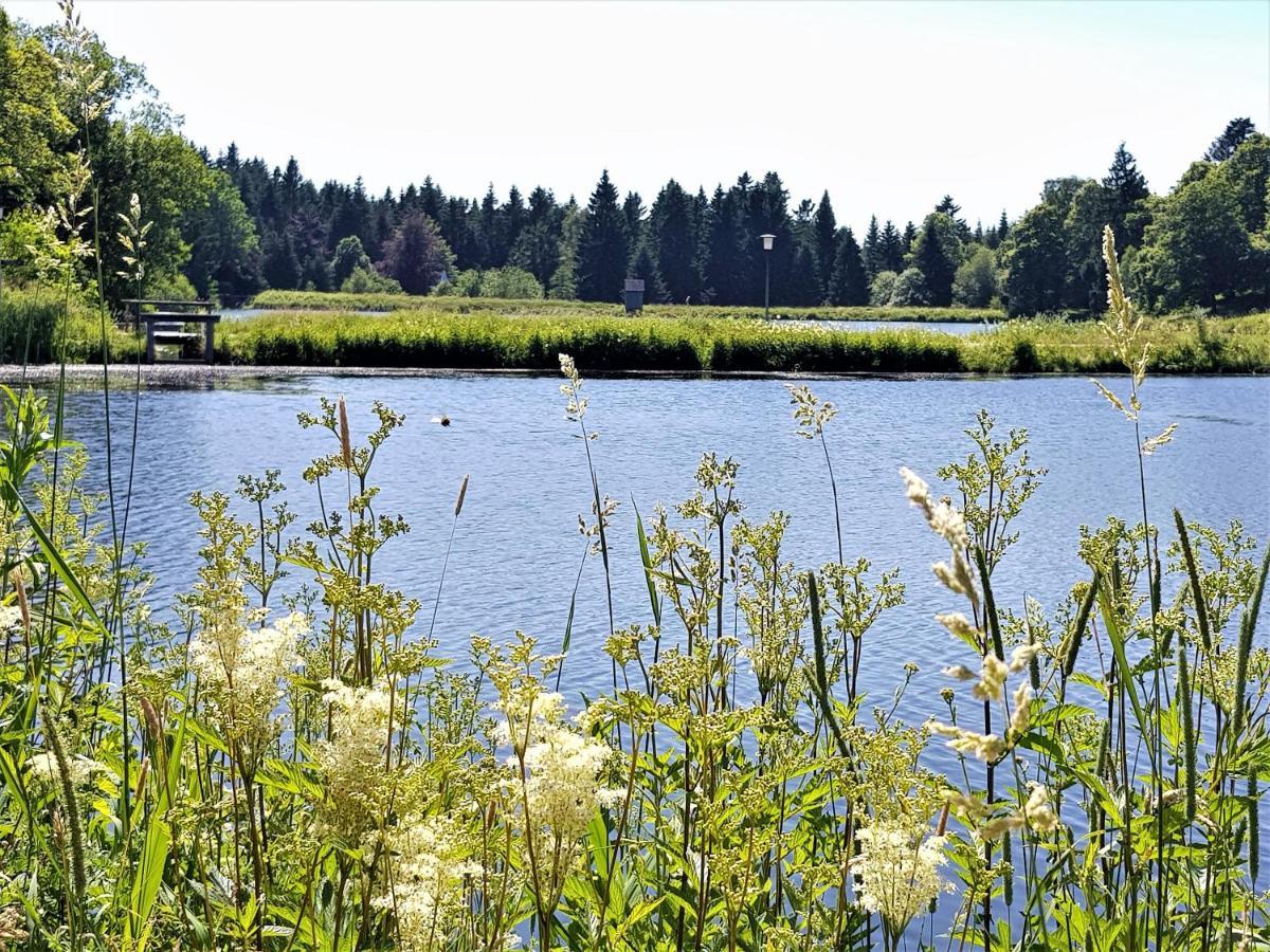Grossdorf Ferienwohnung Waldsuite Im Harz Goslar Eksteriør bilde